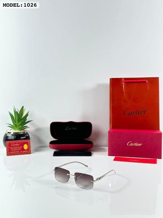 Cariterr 1029 Silver/Green