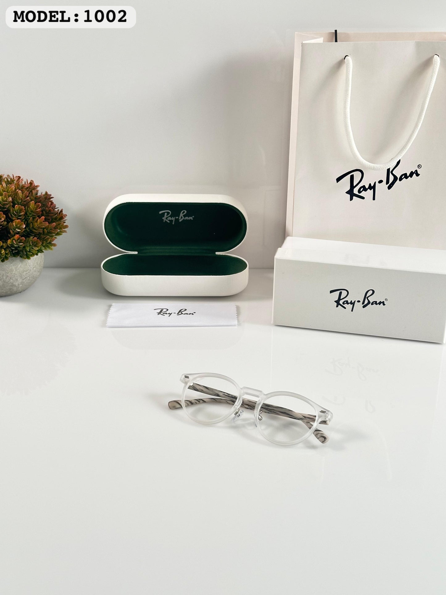 Raybann 1004 Ice Day