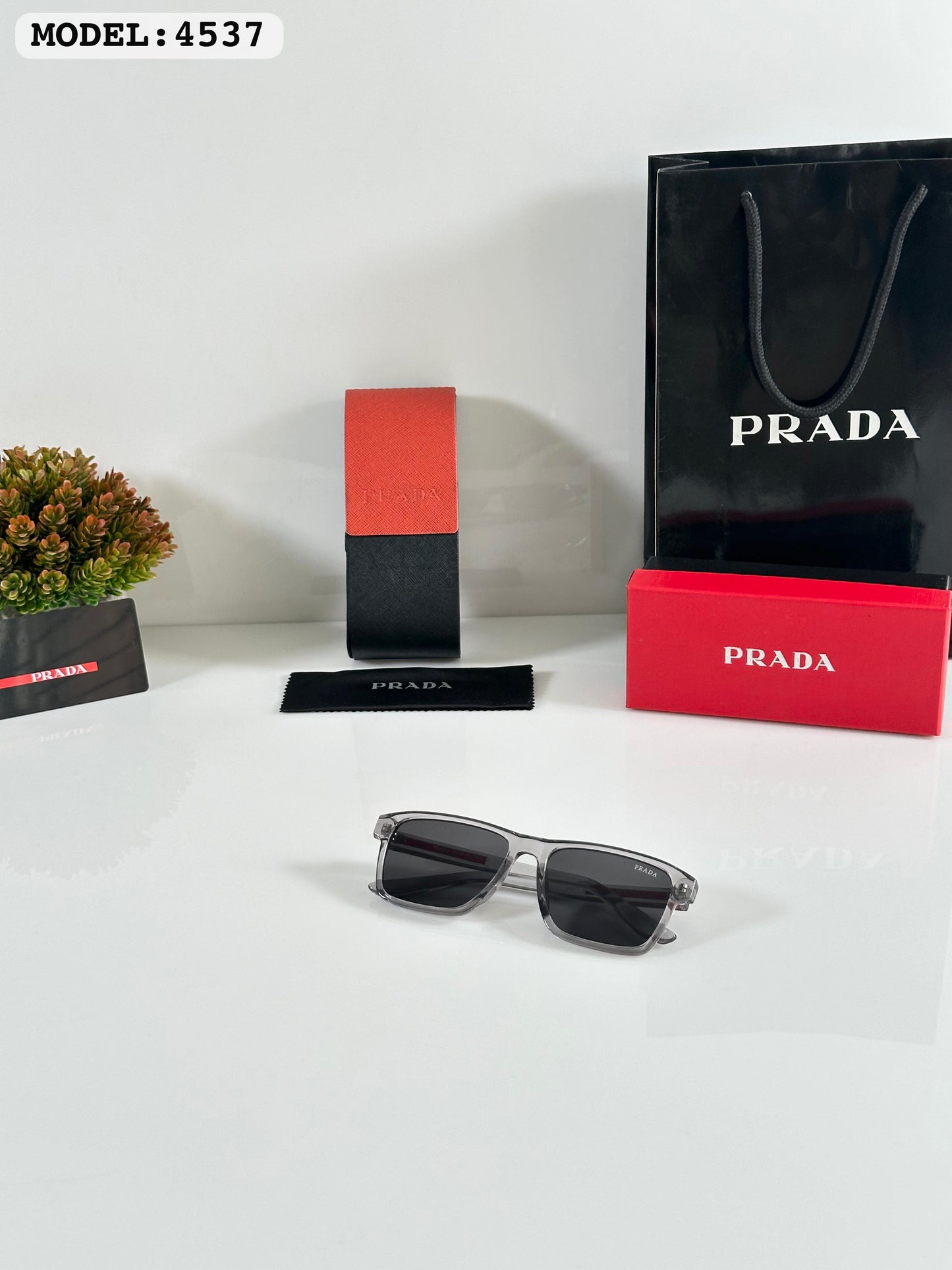 Pradaa 4537 Transparent Grey